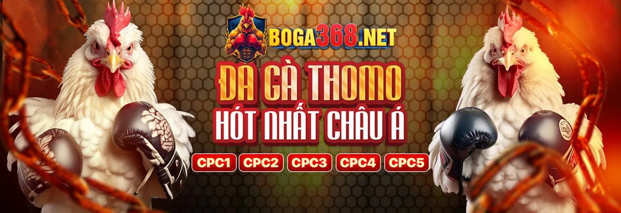 Đội ngũ hỗ trợ khách hàng 79 King sẵn sàng phục vụ 24/7